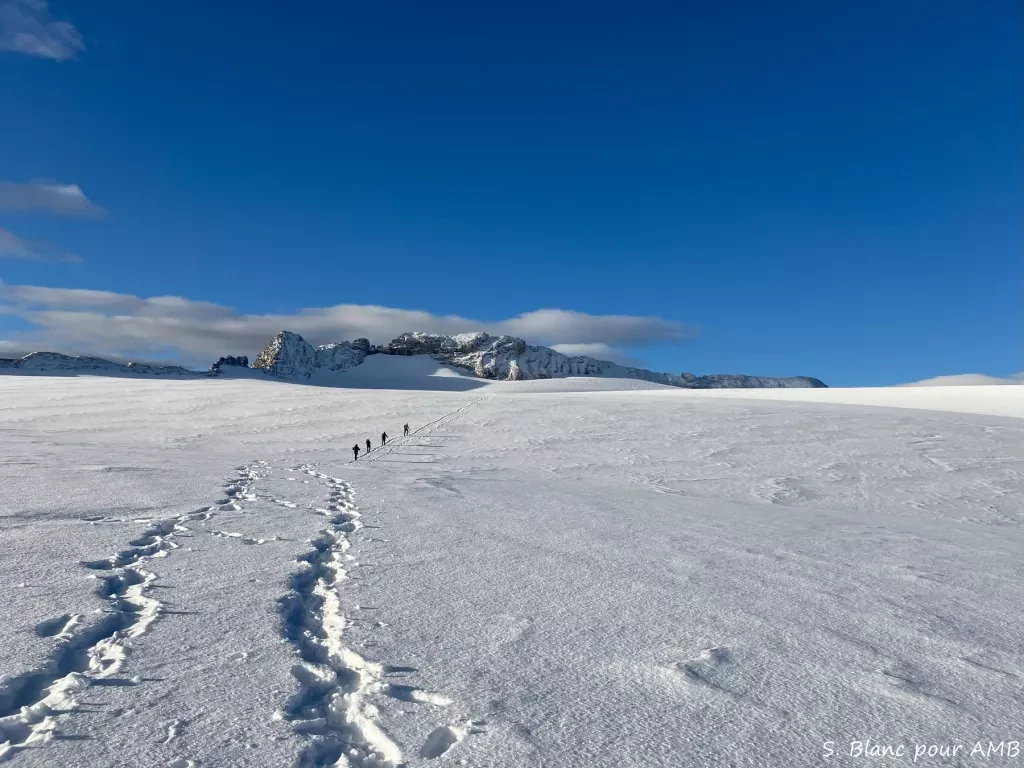 media-library0n566rgofbsr6e1sMpU