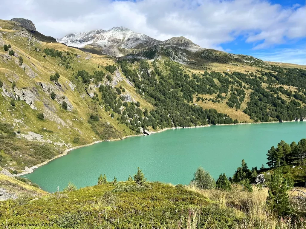 media-library1s646385c2be0DU5CdW