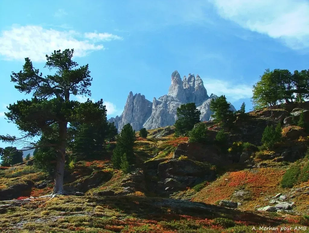 media-libraryn0vr59af6plf8xpj0rV