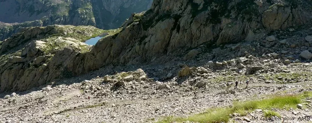 media-library7jo2ul45tekn85JTsdW