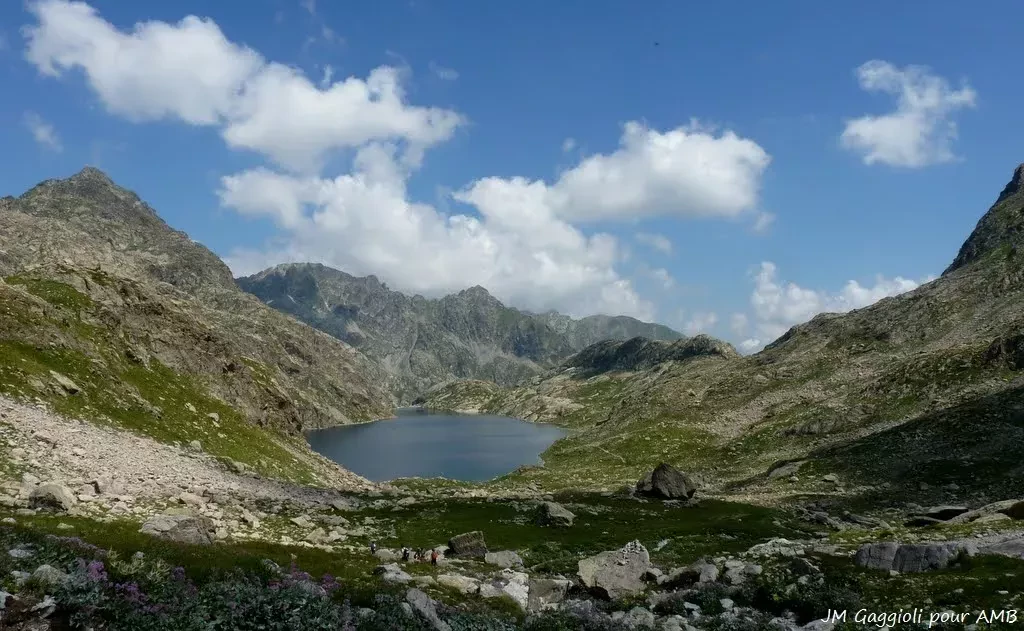 media-libraryafn1ip2e3soq5UHSSVV