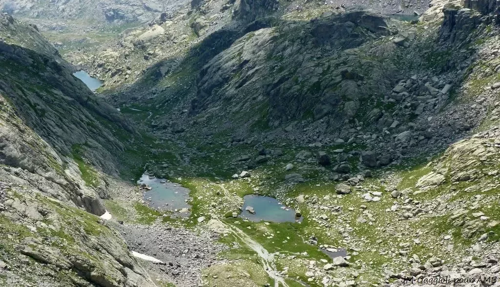 media-library8uanrdht0cjj0eDDE6T