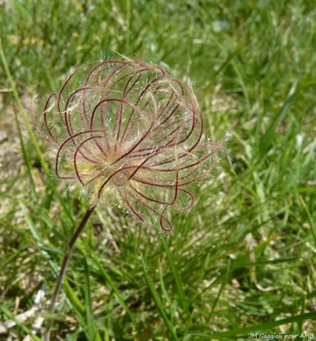 media-librarylr7ghajsfi44bB653WW