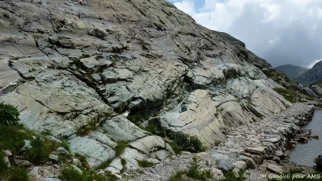 media-librarye9l7jtu2vr37aDaa6RT