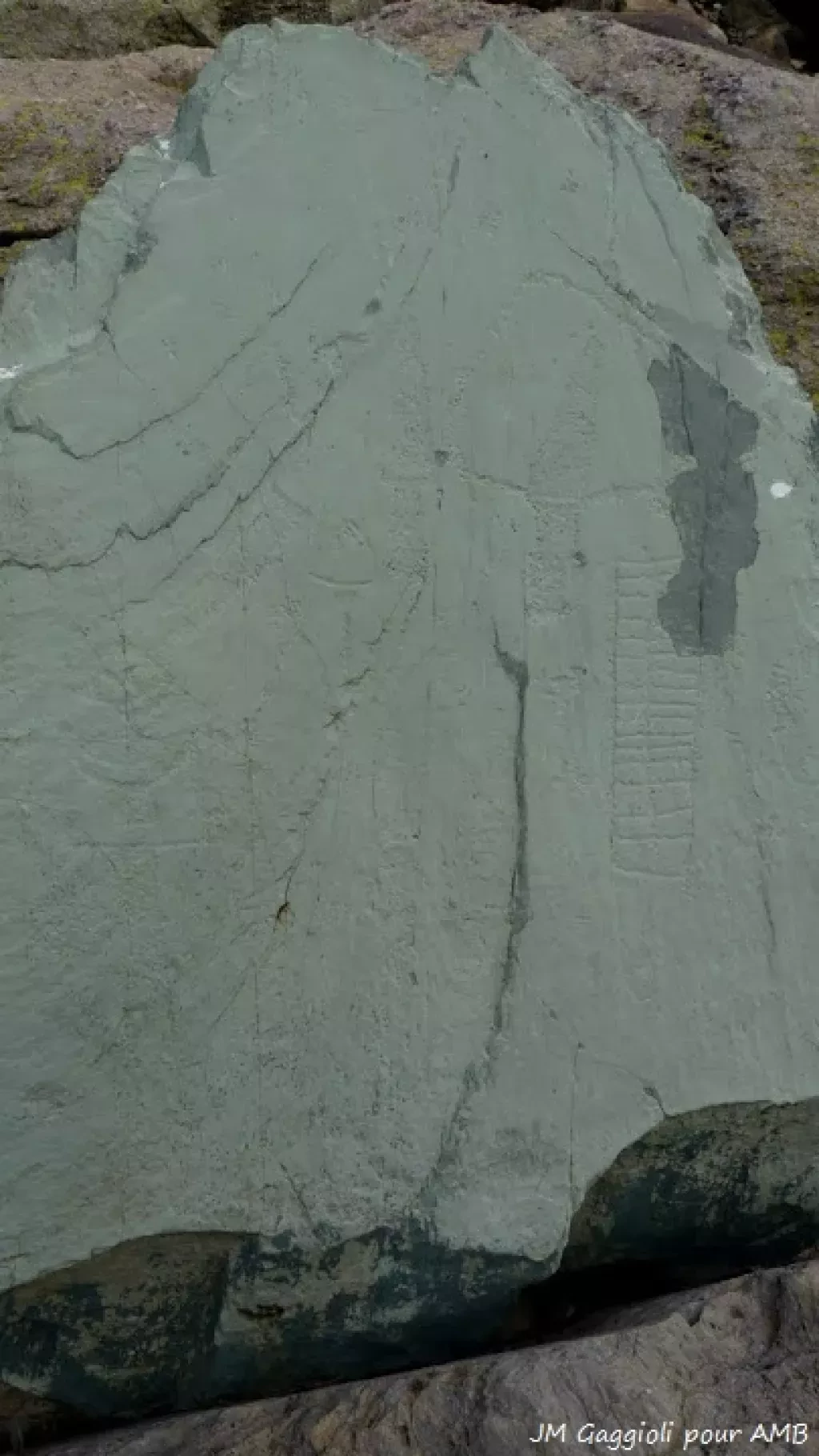 media-library15ub2c9e3lkqc6QiLwV