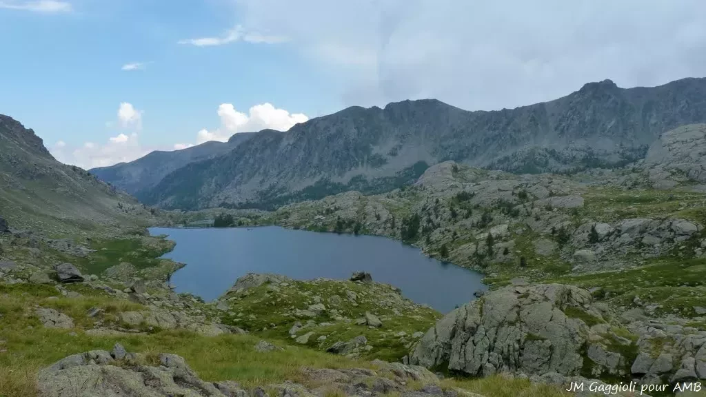 media-library9nprrdnbqf4n85zTq7U