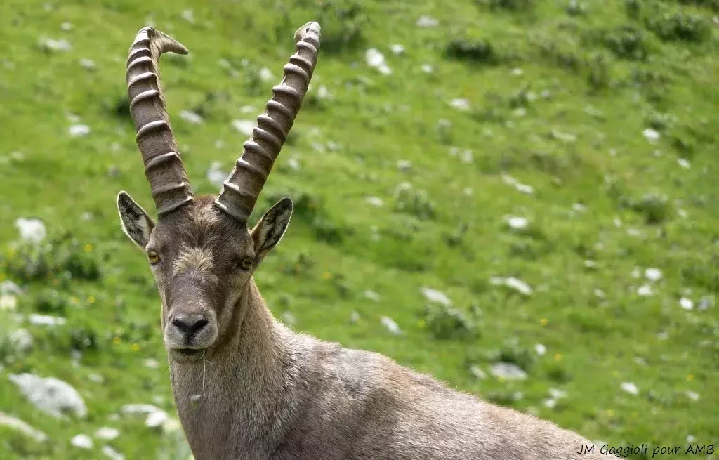 media-library7rk14t0uph7ff5qtSYV