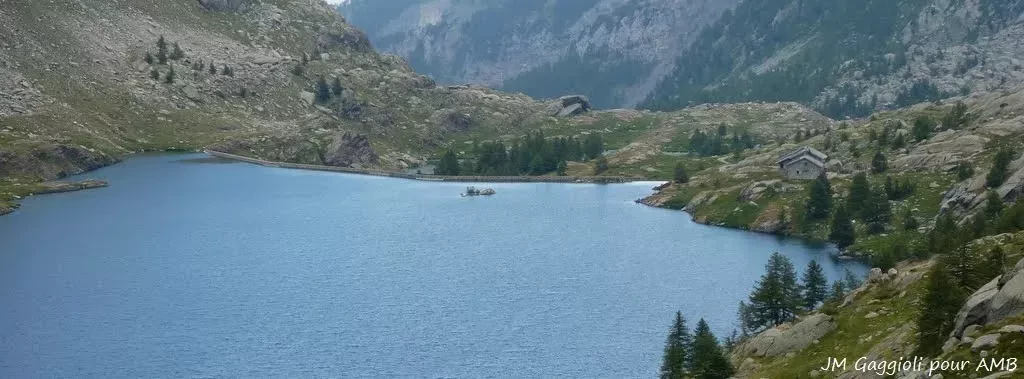 media-libraryi3vmj3k7bia96vNAcmX