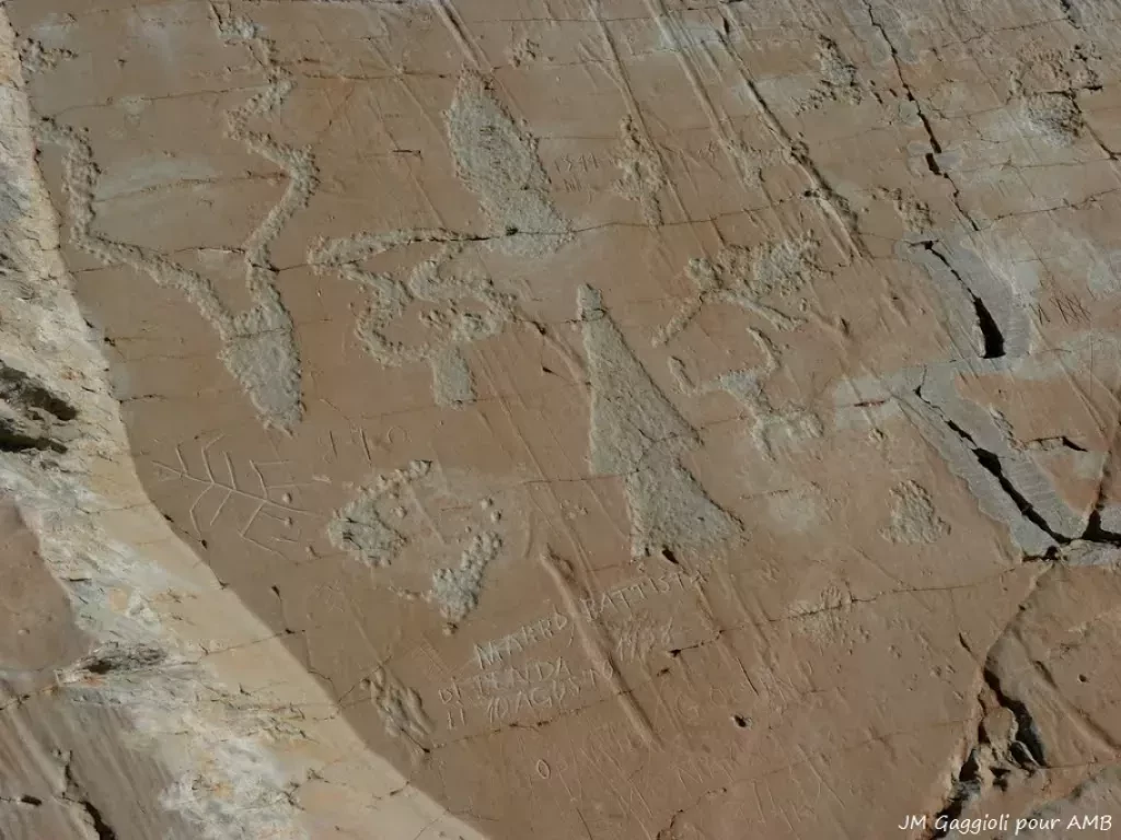 media-librarygsrr0e4e7me002YuklX