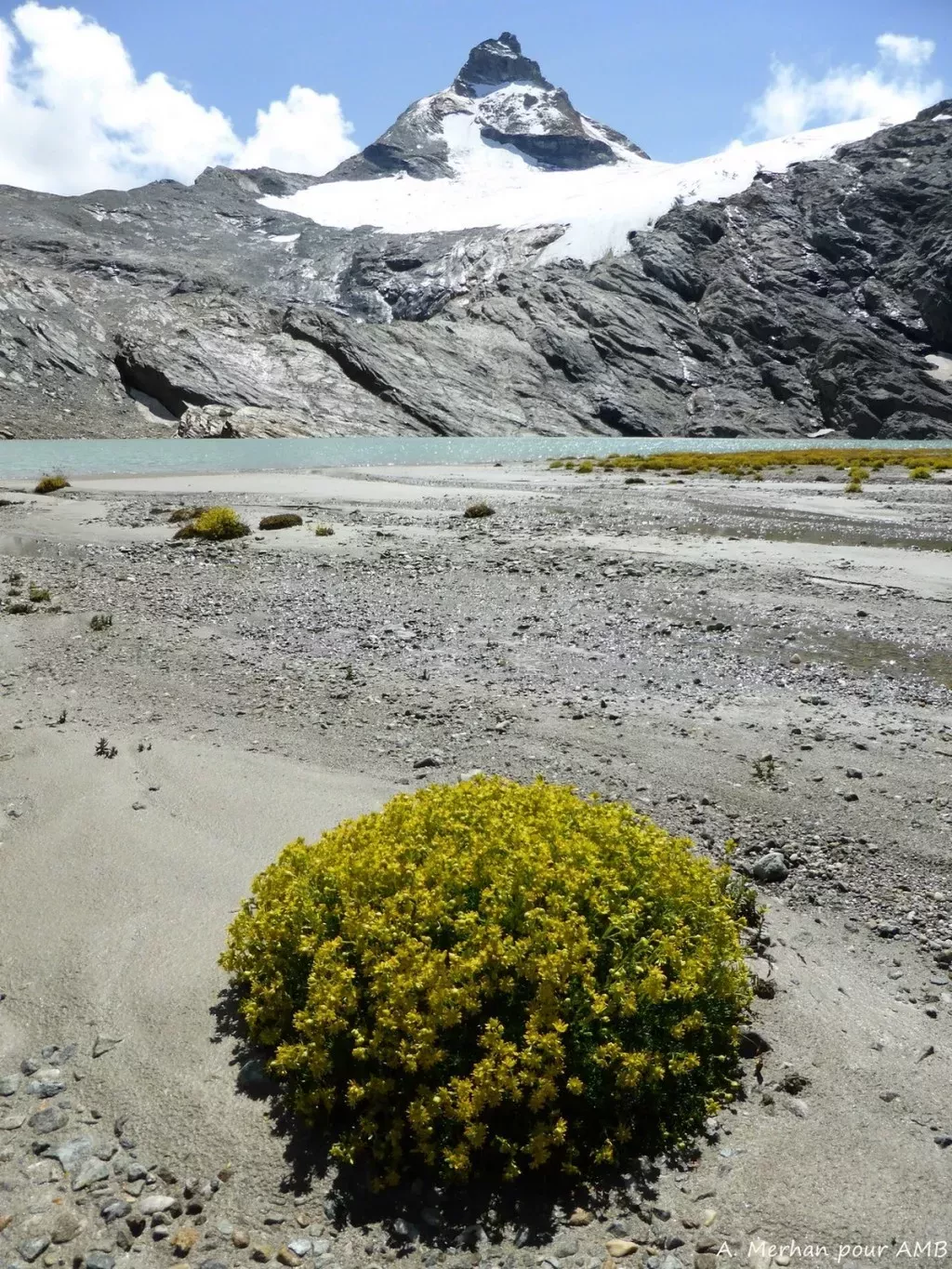 media-library6av0u60g90kp3xri8aU