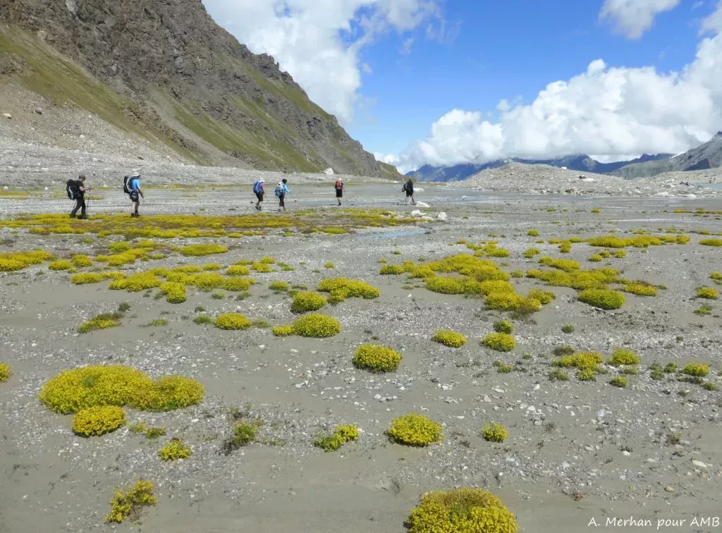 media-library6l75vkqqtmij8bQ0vXW