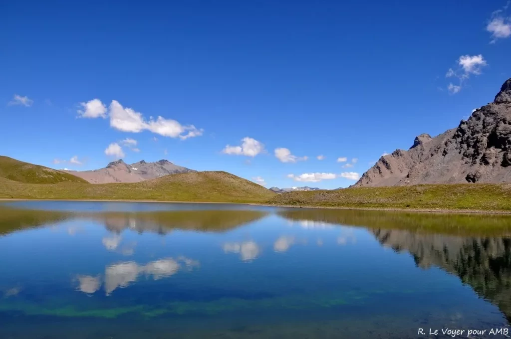 media-libraryvnid57bit31jbvoxpxT