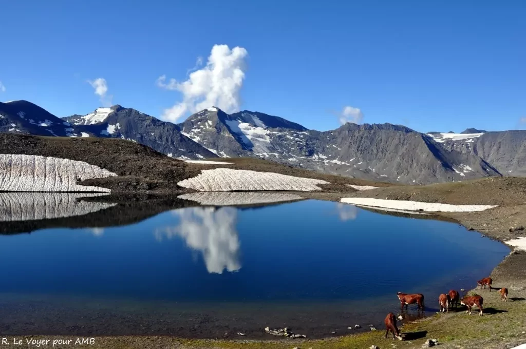 media-libraryrb85bg6ke7g07o2PfpW