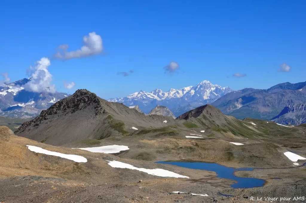 media-library3quia9coe43p2UWWY2T