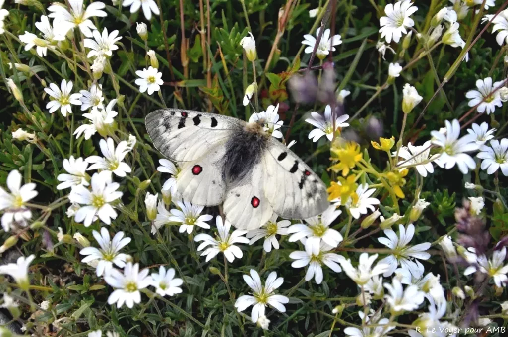 media-libraryig1vs1h83ba39USrwmT