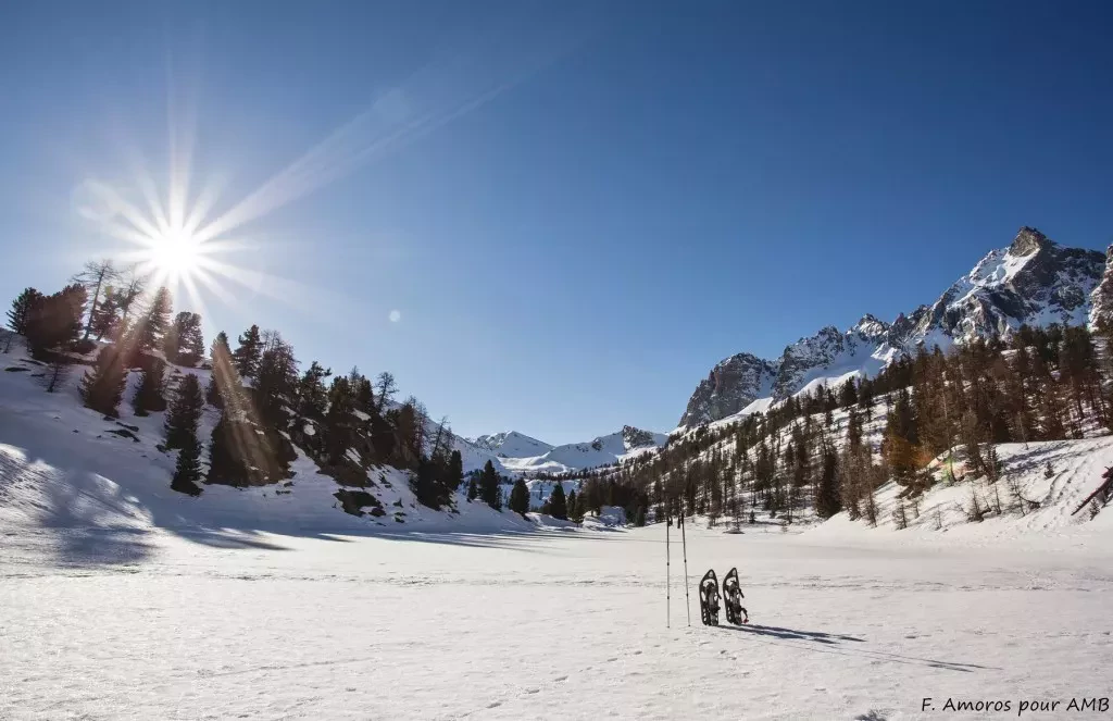 media-library6arm2ifsdppr170K0cX