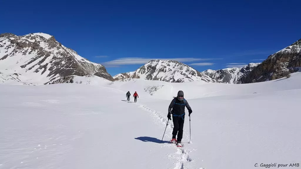 media-library9iu9vc5ko87t9E0LBJT