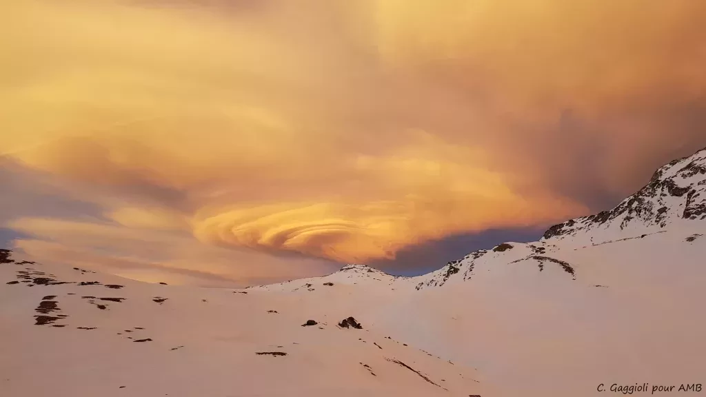 media-libraryoe7pftkih4ga1FjKhkW