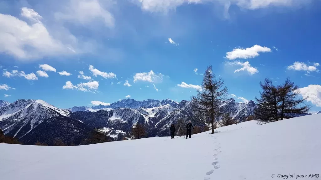 media-librarybjfm6ooo0tq2e7vBHpU