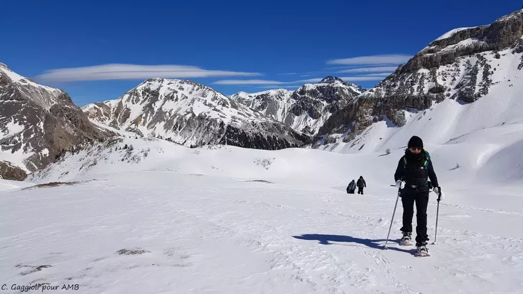 media-library743voduknpnk3gZhieU