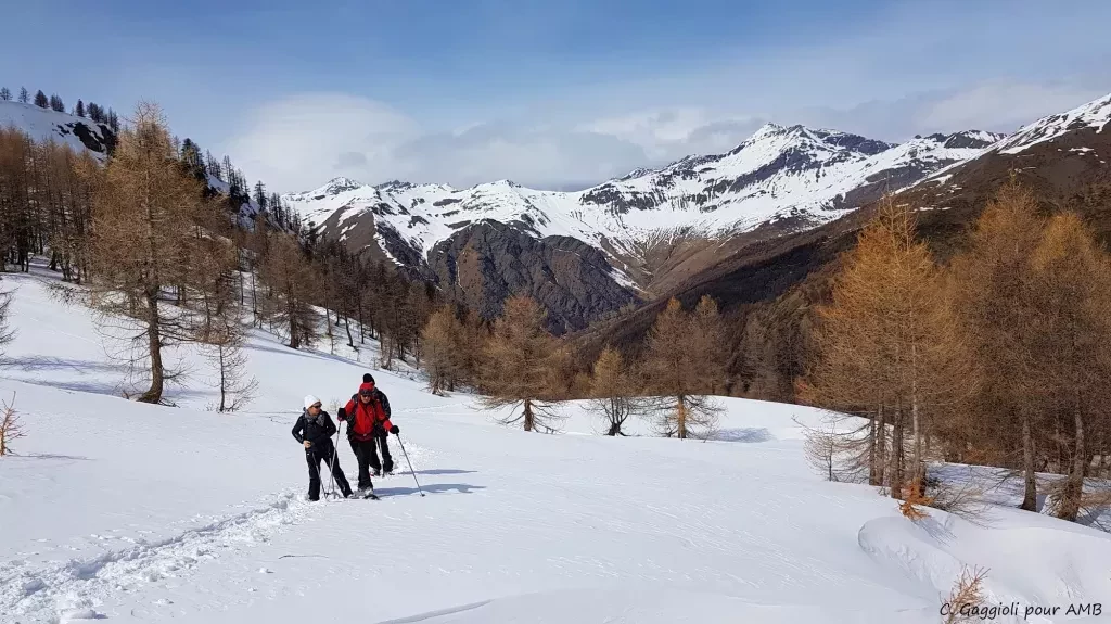 media-libraryqv1fg35008fb2MfsJOU