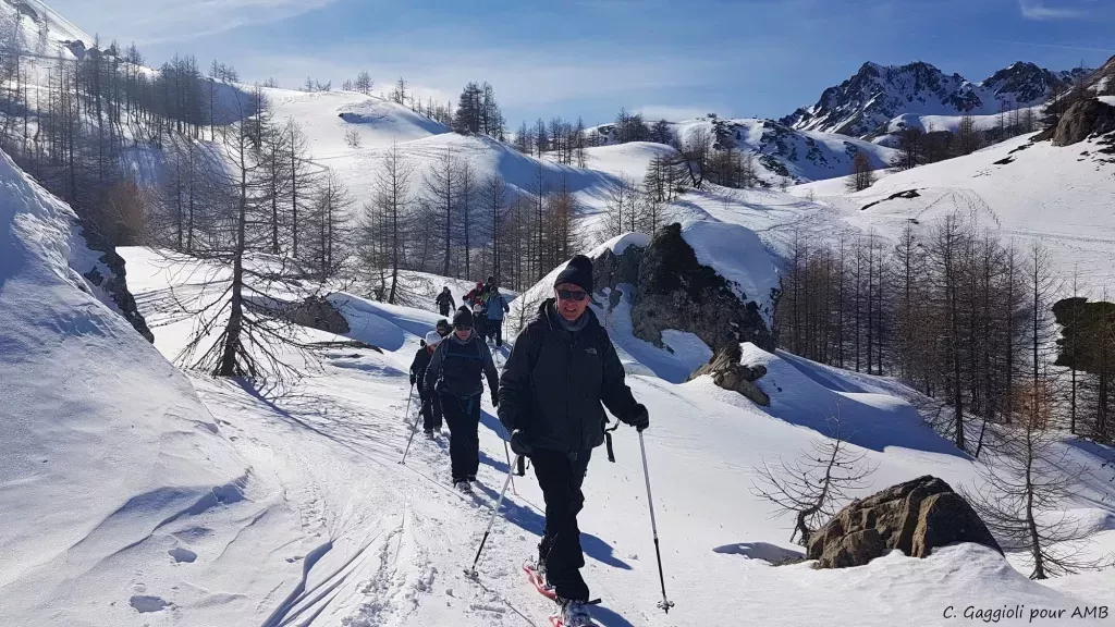 media-library99iknn6f97p35DwslSU