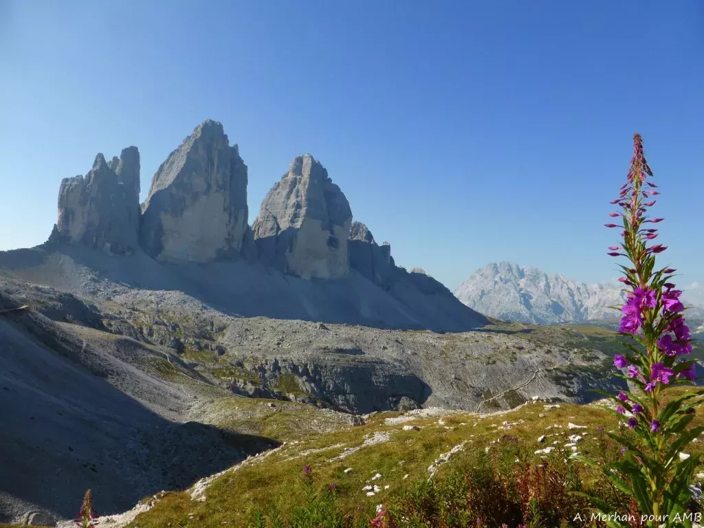 media-libraryrmn9ies6f5hgf43nDNT