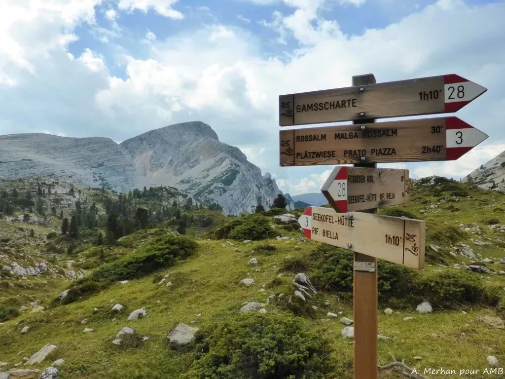 media-libraryu3c4i4k3frfa1eBemHU