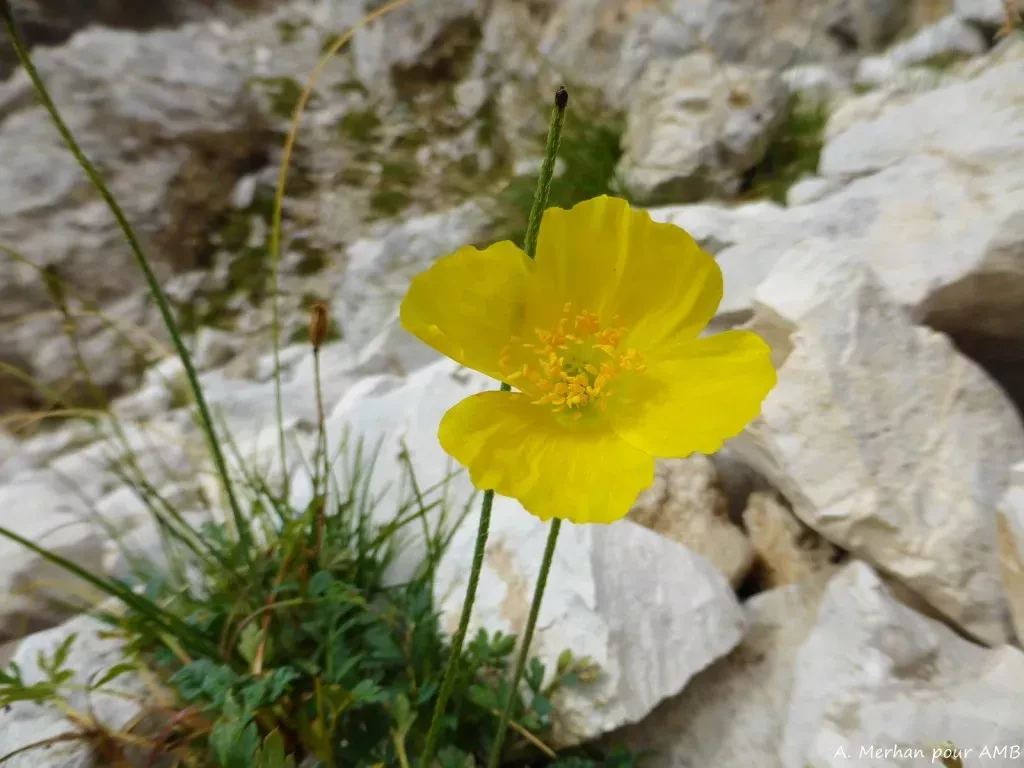 media-library8c76v9aqvuje7ElQCtX