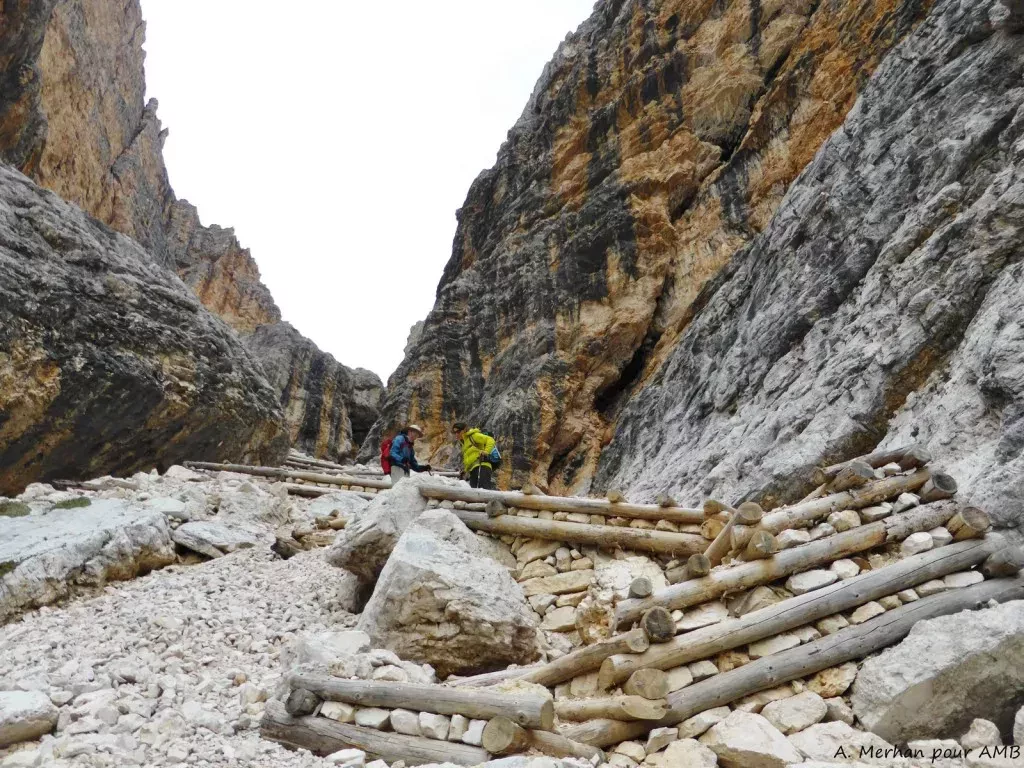 media-library025q7bmj793l8Wvfp7W