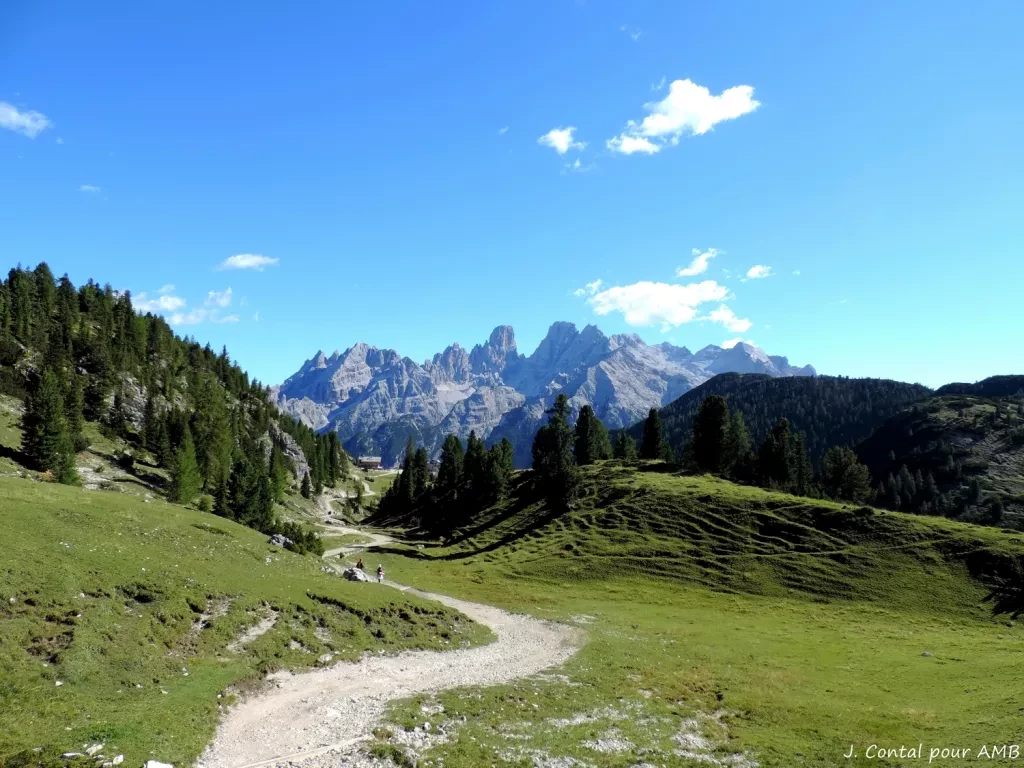 media-librarys7vhmv94c9902461S1S