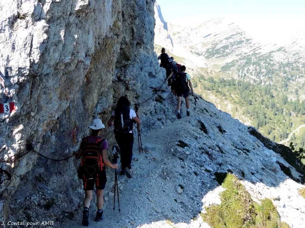 media-libraryv3gk1anjkakebTUGKeX