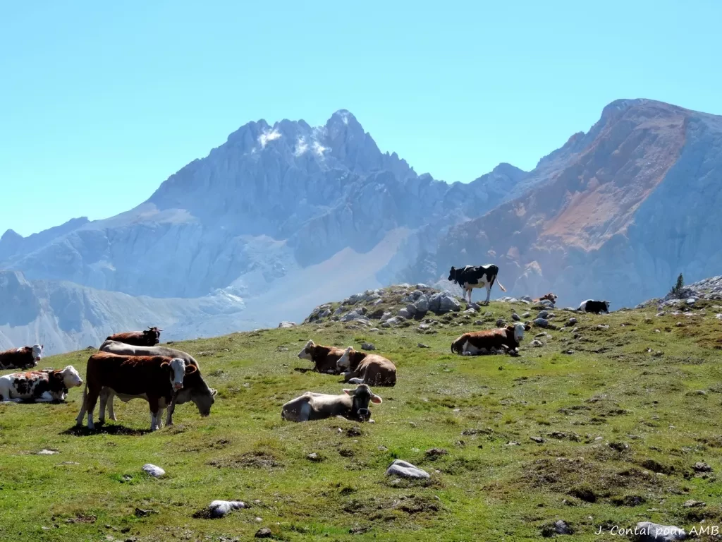 media-library294v0o1s8t254IEfWFW