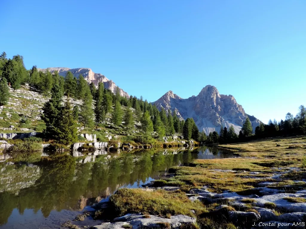 media-libraryi6o7mobhkeflax7bH0V