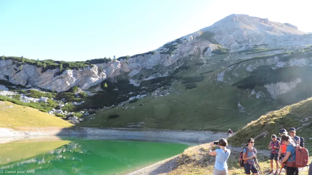 media-libraryr0b9hg0v461gbFwvF0W