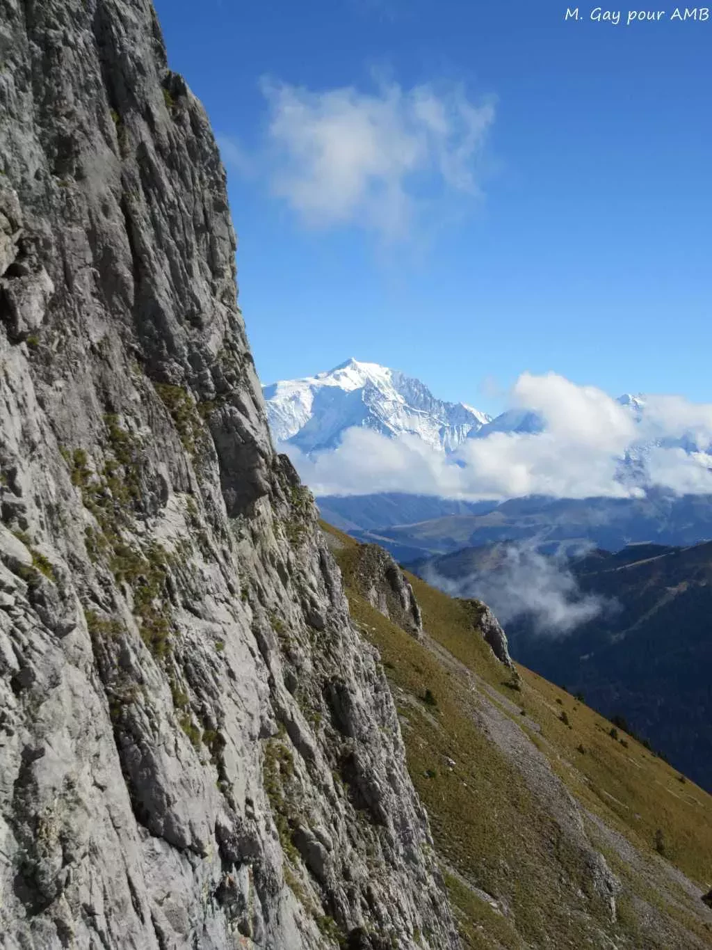 media-libraryhes7ne0jrpqf0zN4gxU