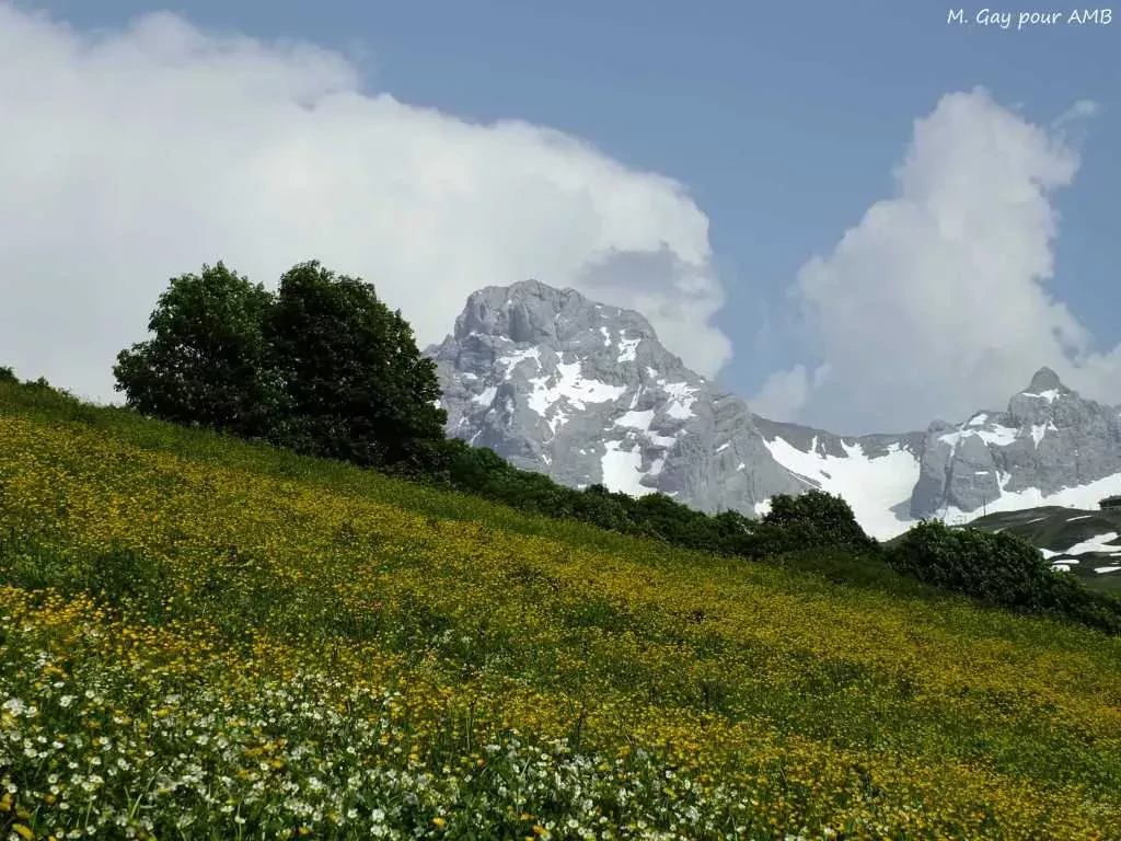 media-library1tk6dpa5ira12T9vTUS