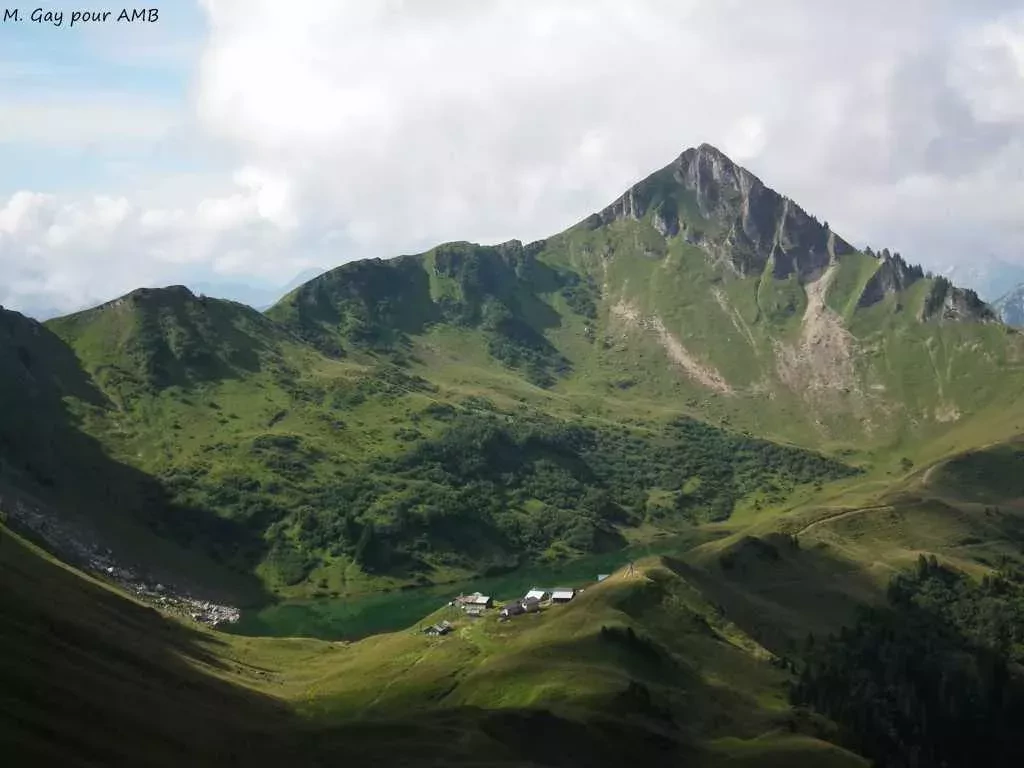 media-libraryrodj5dicfqf1bK8gBTW