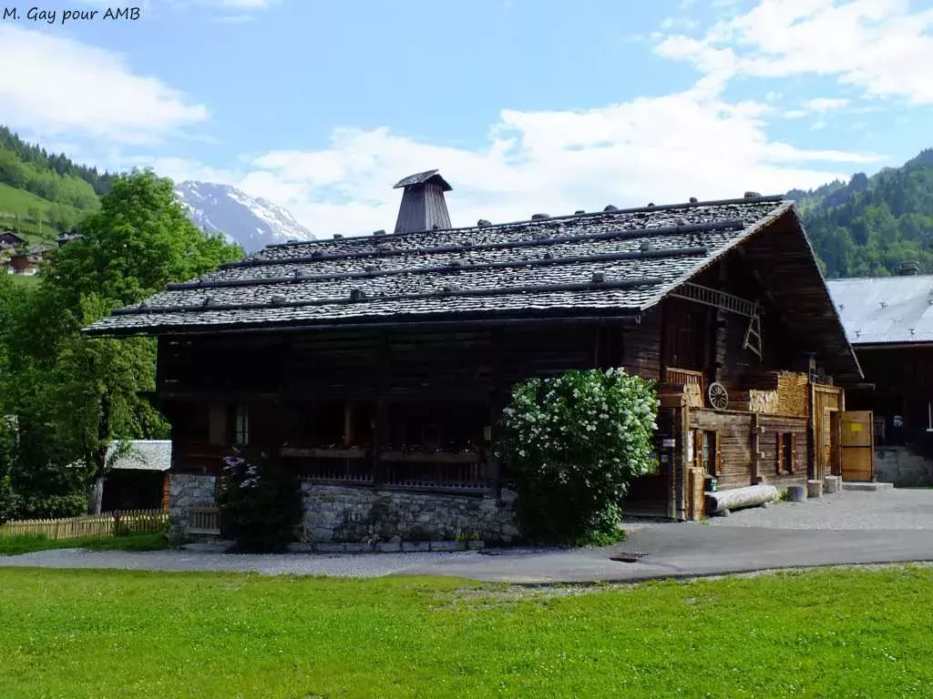 media-libraryklqa8drgooa57mnAIDW