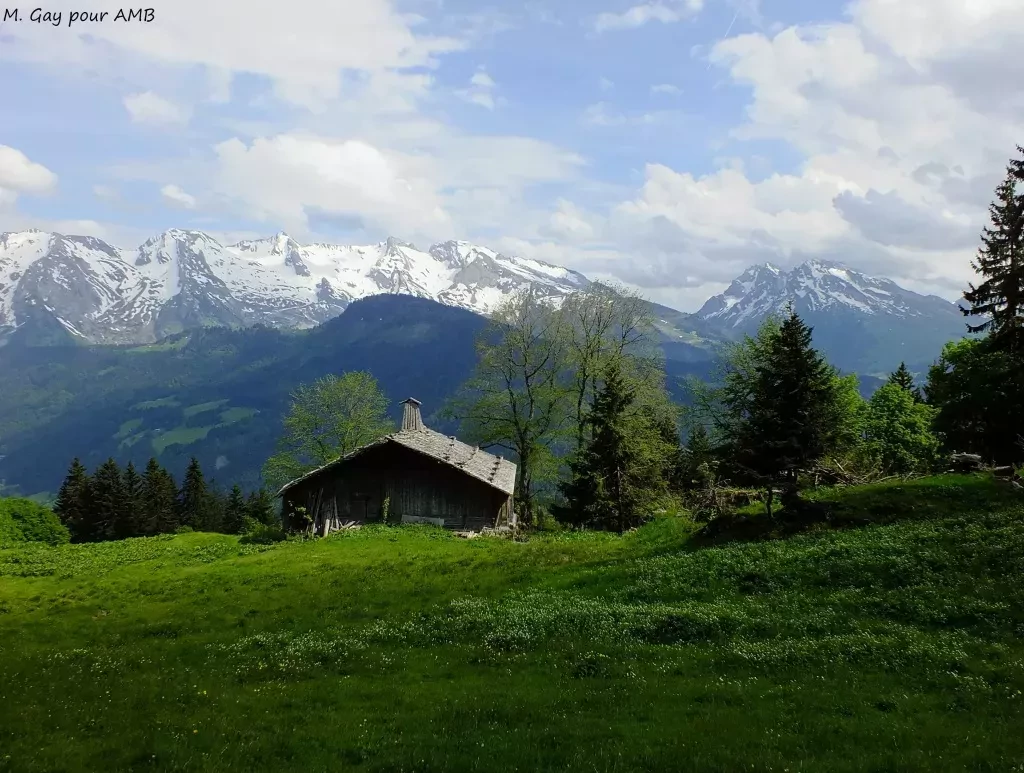 media-librarybpf9gualjvo909kD7oX