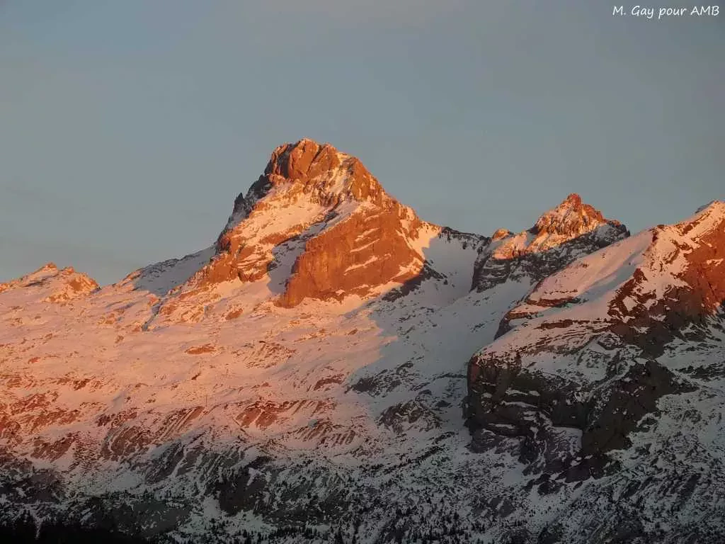 media-librarysovi4el40u88d7pwjqX