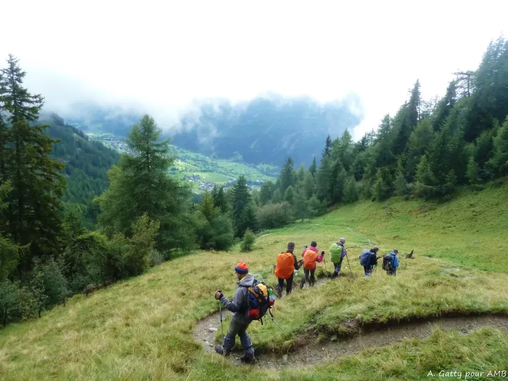 media-libraryekstqq9p36uuaUAtzyV