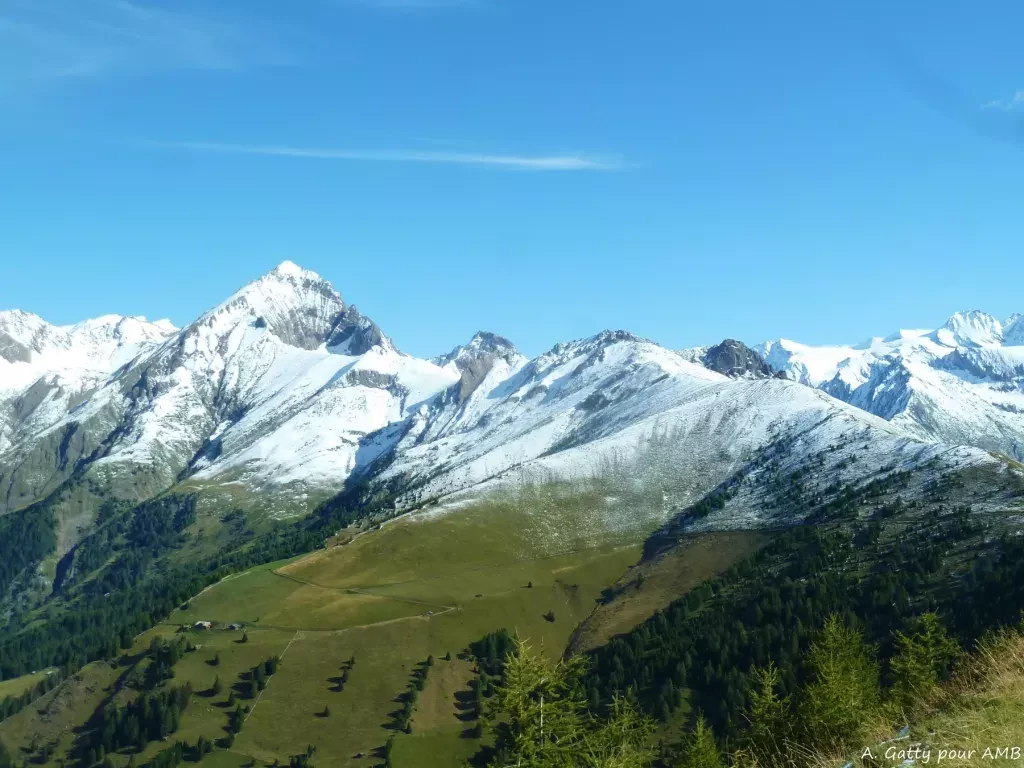 media-libraryrjiff1sdr3i13khhllX