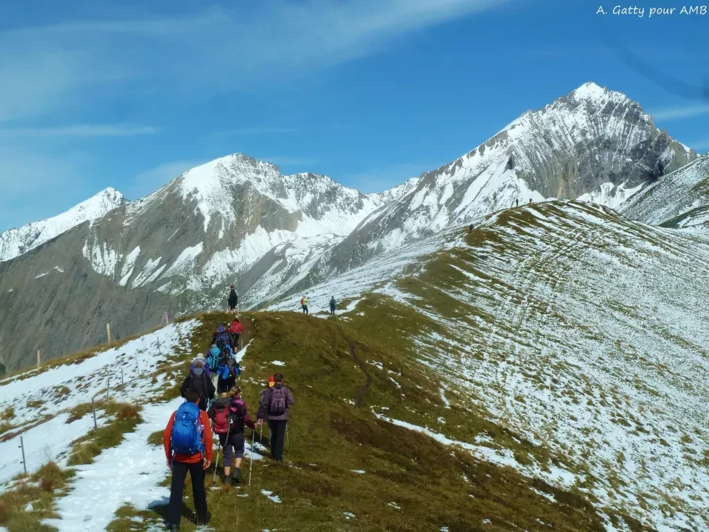 media-libraryadem0g4skj6uascPkJV