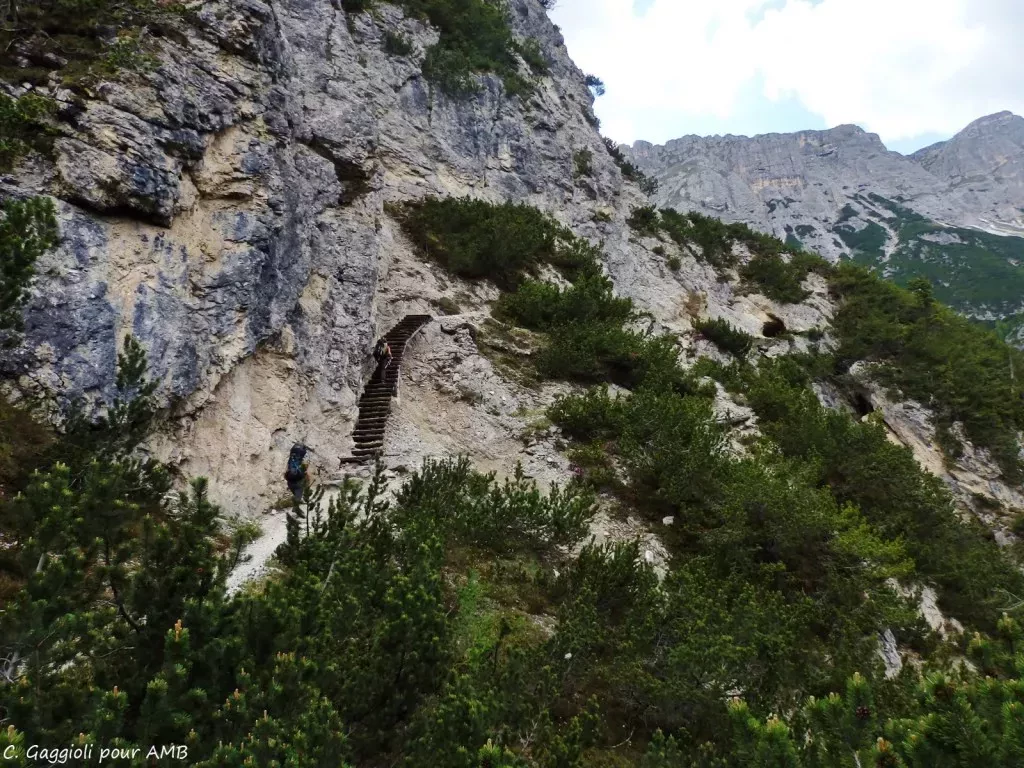 media-library4odvjs18kv82bcmrrEV