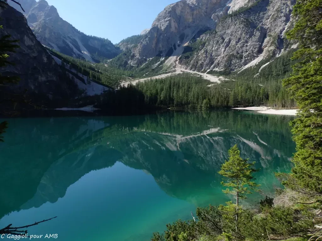 media-libraryufgaq4mv6i737kvGW0S