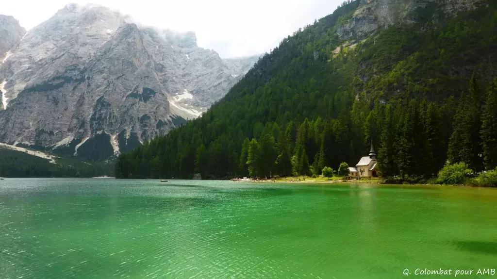 media-libraryg40vc3hofov50cP44sX