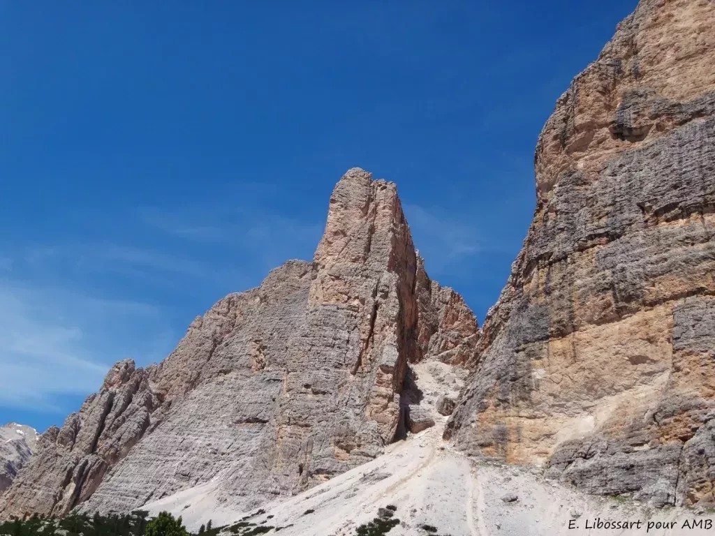 media-libraryqu7jptmv1dsmaWKKUqU