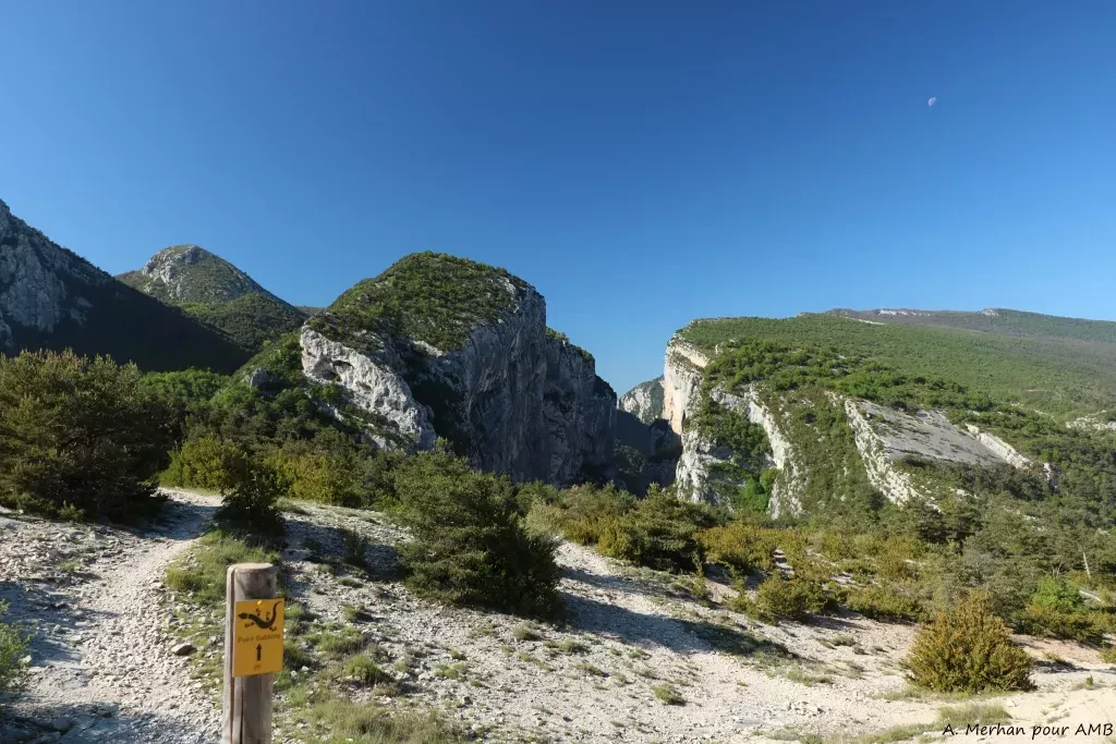 media-libraryo08i7eg2iiatdP2yg5W