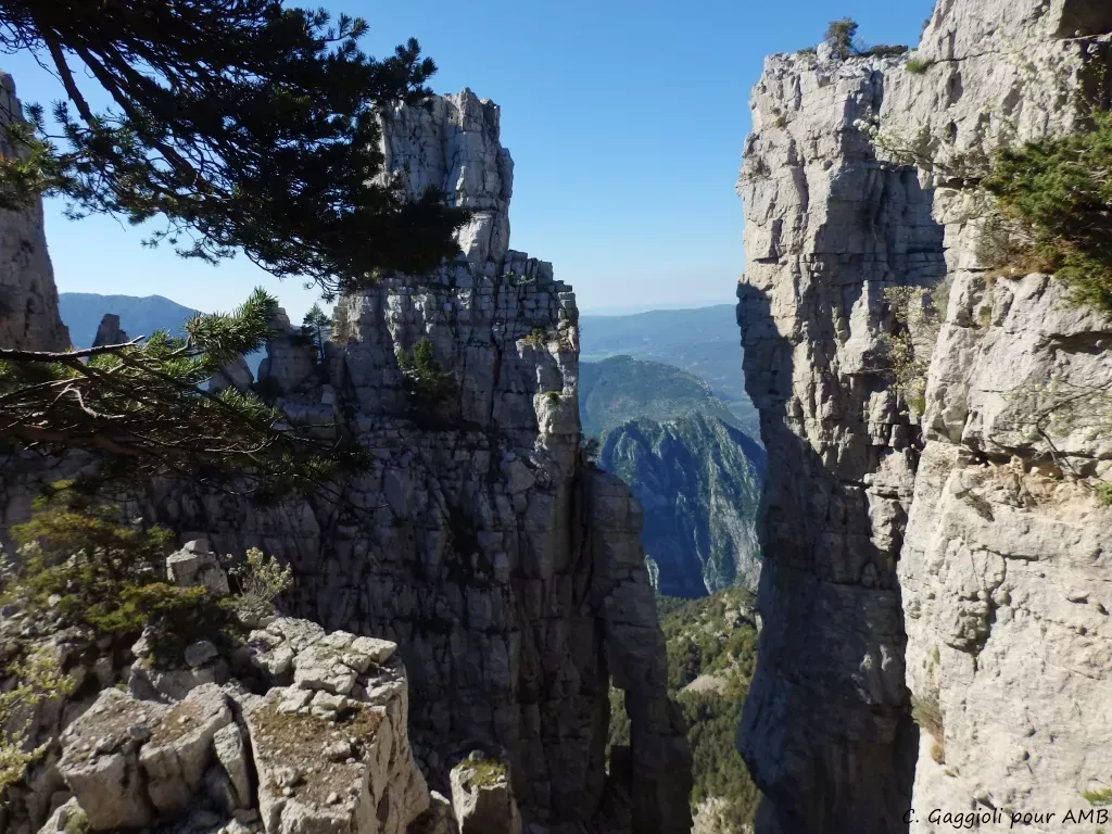 media-librarytufomso39mfjdWiD8sT